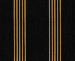 Canvas Antique Black 