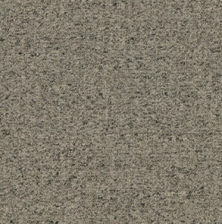 Iron