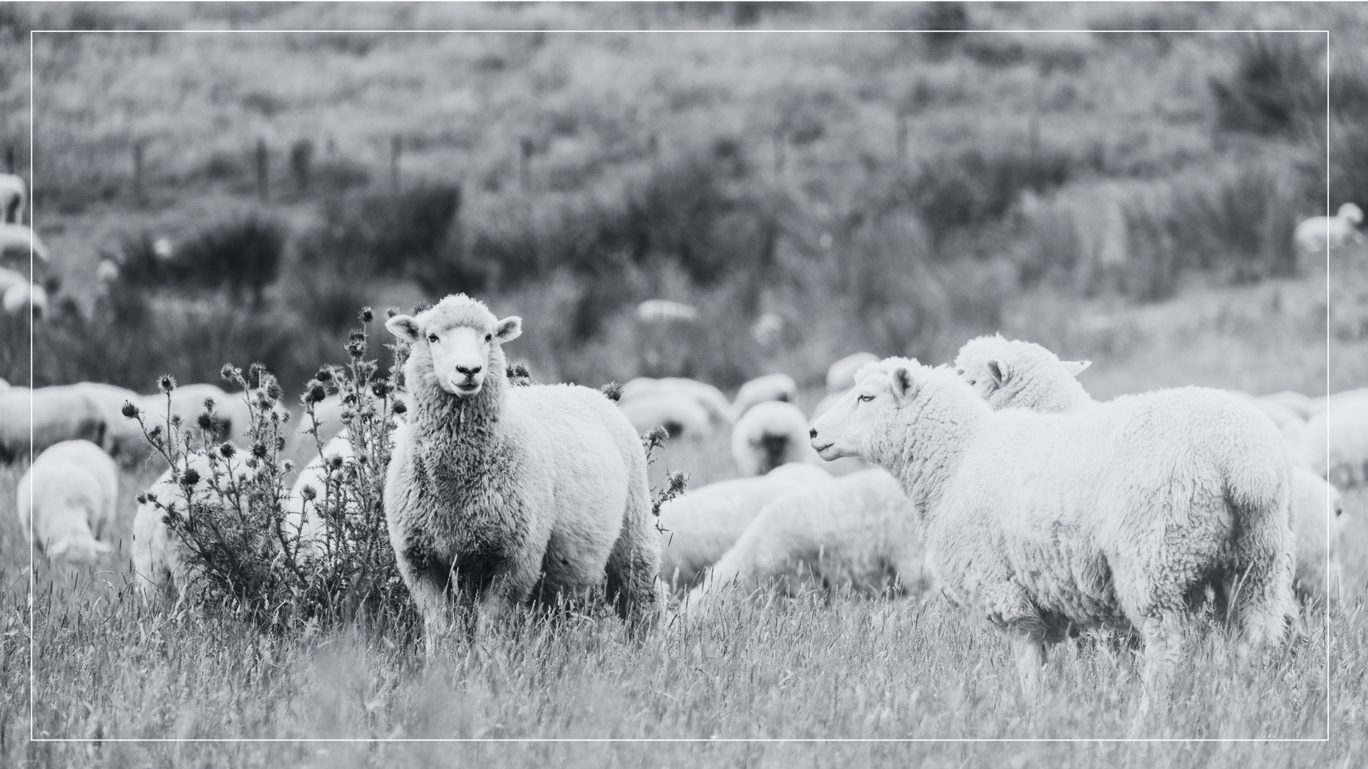 The Cotswold Bed Company Sustainability Reports