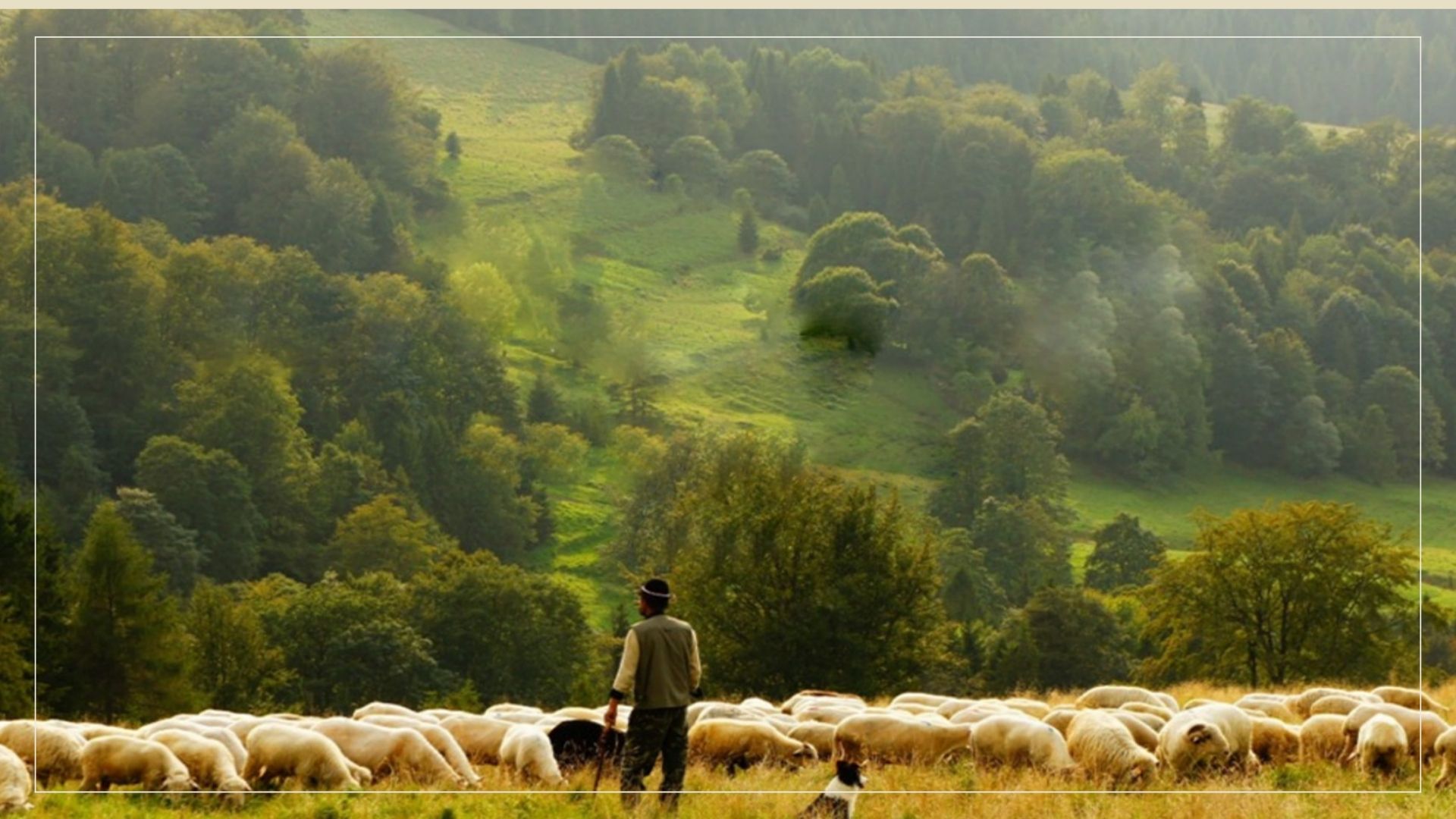 Consciously Crafted | A Closer Look At Our Mattresses